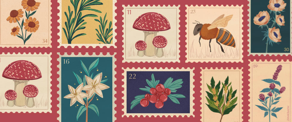 The Future of Web Development in 2025